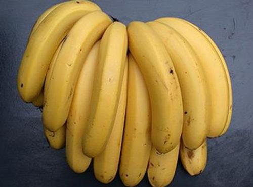 信宜香蕉